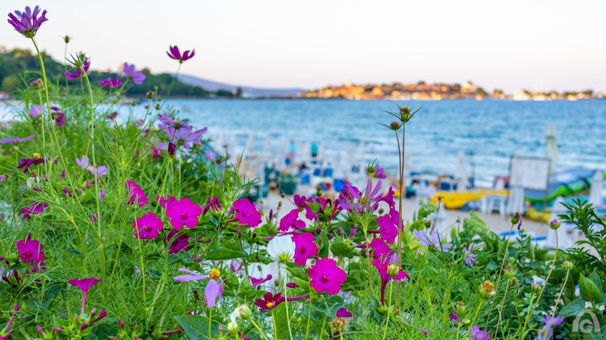 Perla Apartments Nesebar Exteriér fotografie